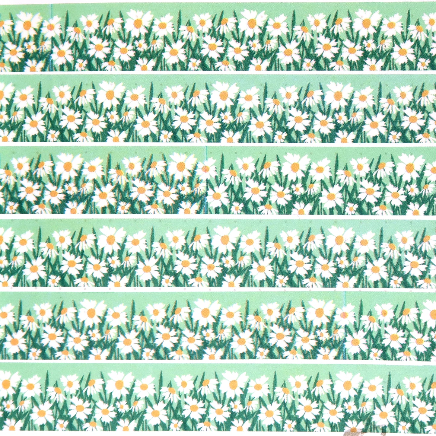 Daisies Border Washi Tape - Little Lefty Lou