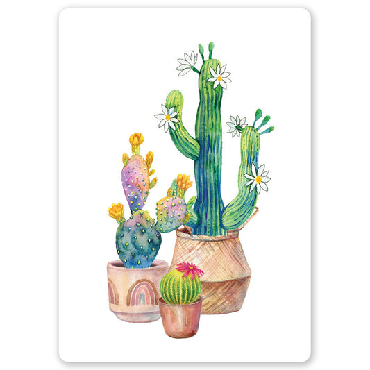 Cacti Ansichtkaart