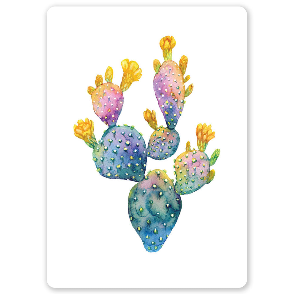 Colourful Cactus Ansichtkaart