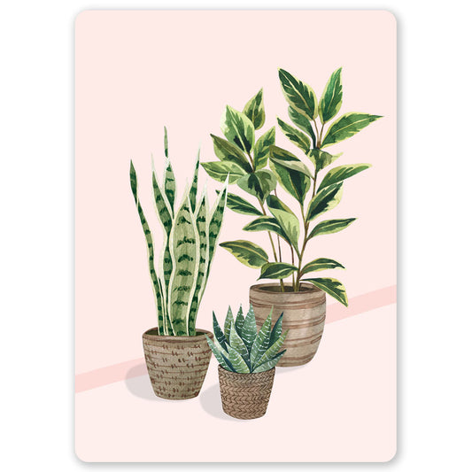 Plants on Pink Ansichtkaart