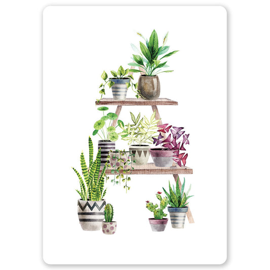 Plant Shelf Ansichtkaart